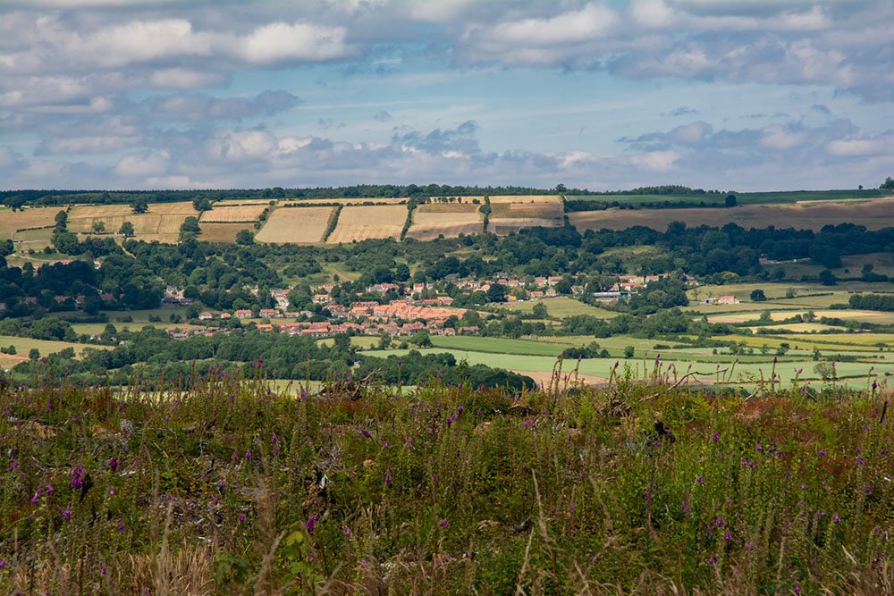 What We Do Howardian Hills National Landscape