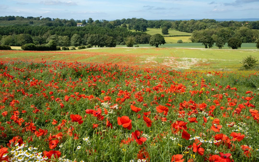National Landscapes – Your Natural Partner