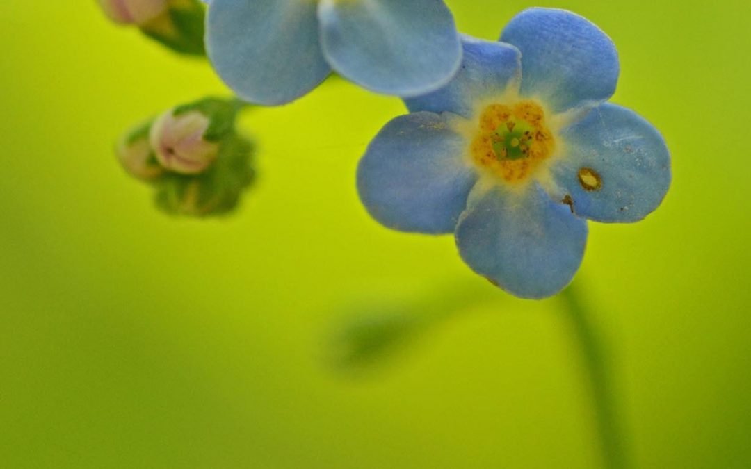 Community science for nature recovery