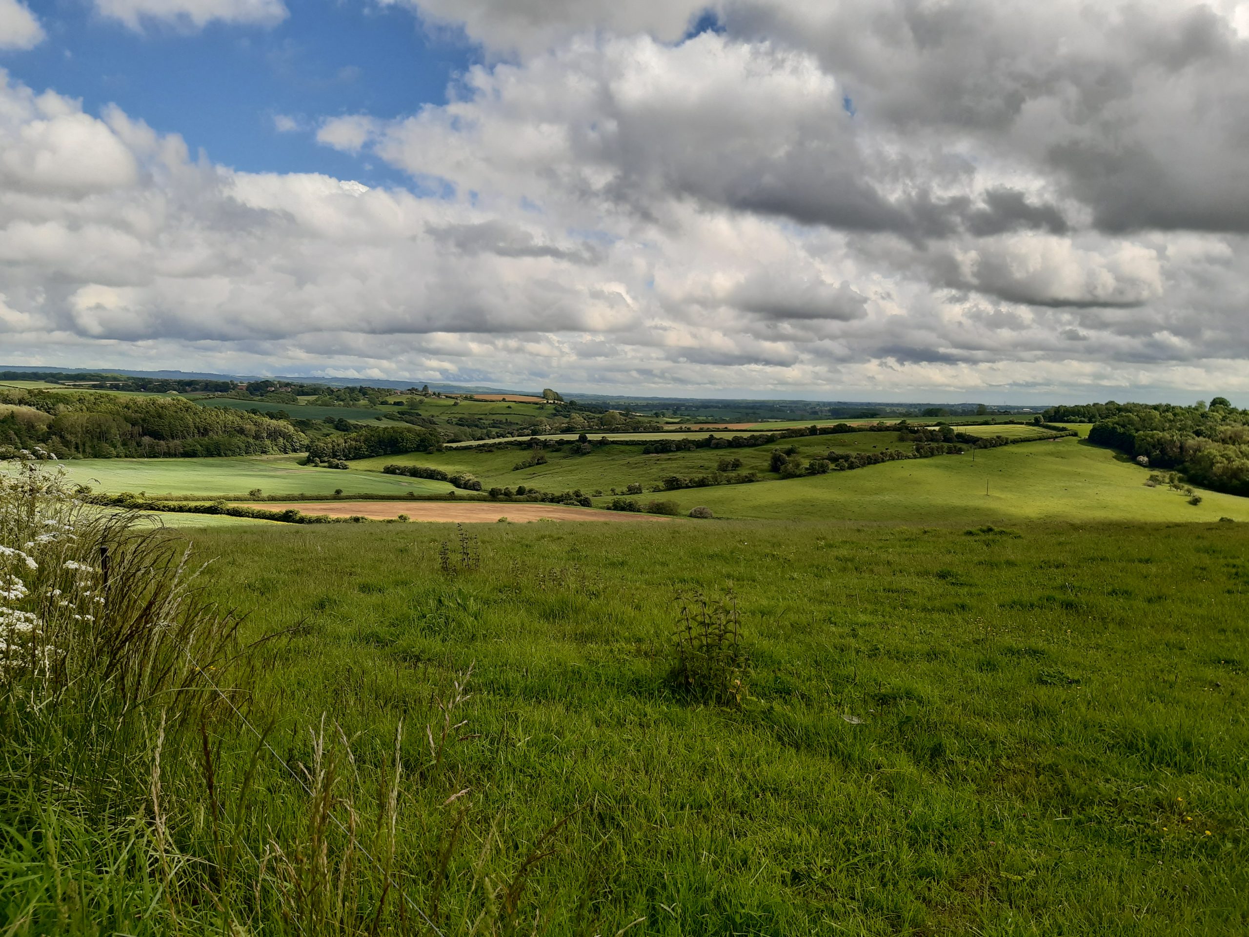 Birkdale_view_FP
