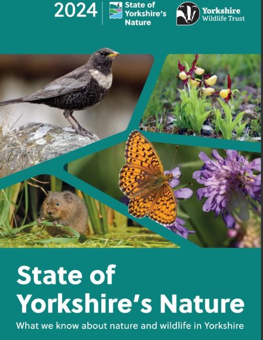 A milestone for Yorkshire’s nature