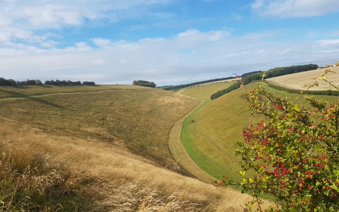 Proposed new Yorkshire Wolds Area of Outstanding Natural Beauty