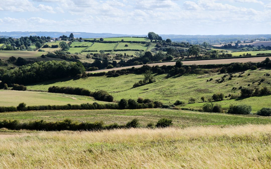 Farming in Protected Landscapes extended until Mar-29